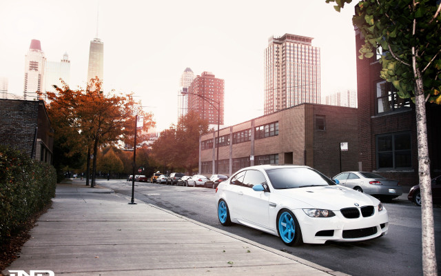 White car road tree city free wallpaper - medium preview image