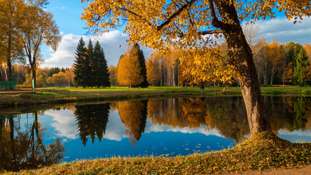 Pond trees autumn leaves clouds free wallpaper - medium preview image