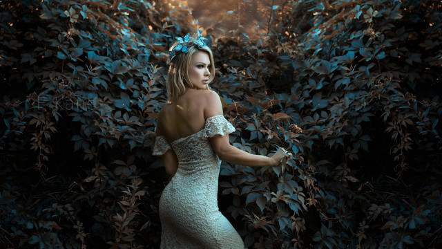 Woman dress bush bow fashion free wallpaper - medium preview image