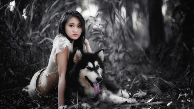 Woman husky forest dress nature free wallpaper - medium preview image