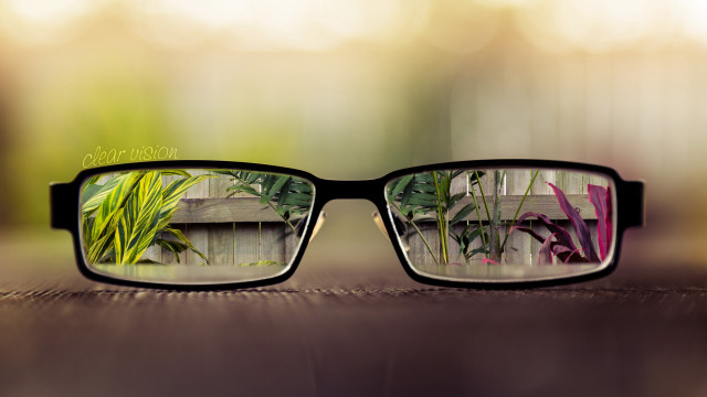 Glasses reflected plants table top free wallpaper - medium preview image