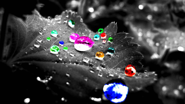 Leaf water drops blue circle free wallpaper - medium preview image
