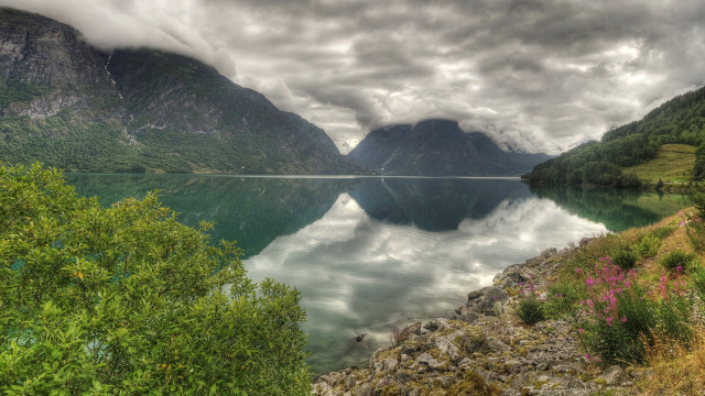 Lake mountains trees clouds flowers free wallpaper - medium preview image