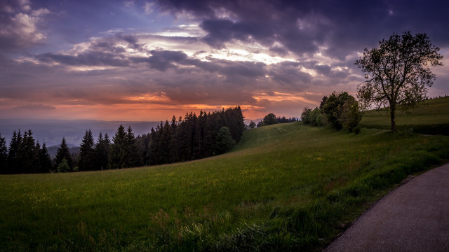 Grassy hill tree path sunset free wallpaper - medium preview image