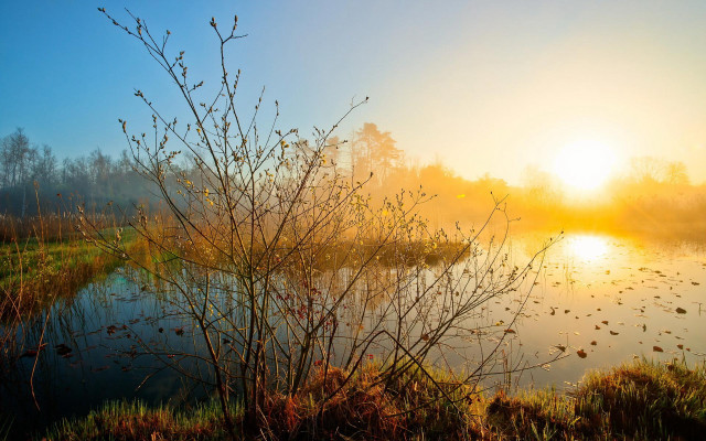 Lake fog sunset trees autumn free wallpaper - medium preview image