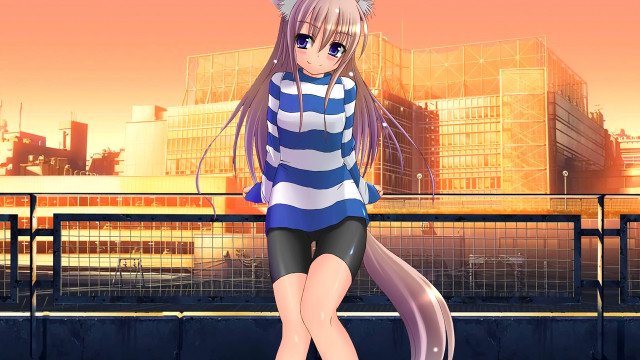Anime girl cat ears cityscape free wallpaper - medium preview image