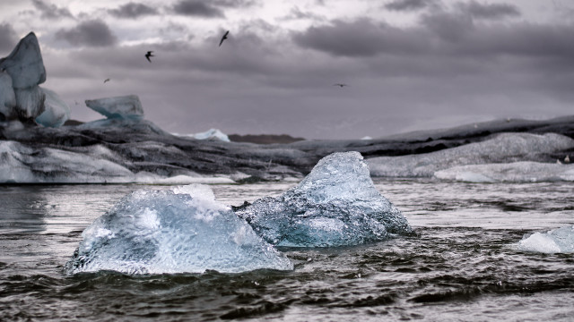 Icebergs glacier birds water matte free wallpaper - medium preview image