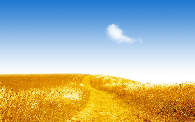Path field tallgrass cloud blue #2 free wallpaper - medium preview image