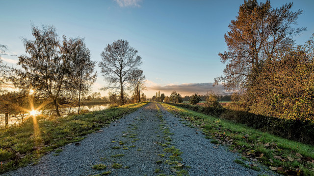 Dirt road grass trees river free wallpaper - medium preview image