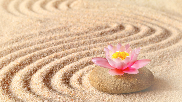 Pink flower rock sand garden free wallpaper - medium preview image