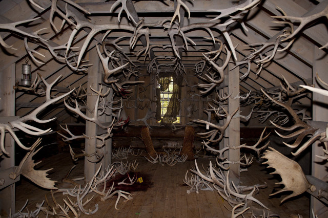 Antler chairs land art puzzle free wallpaper - medium preview image