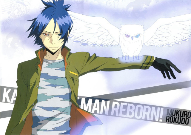 Blue hair man owl wings free wallpaper - medium preview image