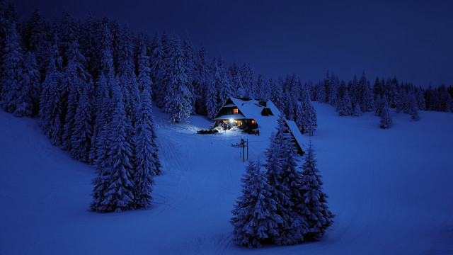 Snowy forest cabin fullmoon night free wallpaper - medium preview image