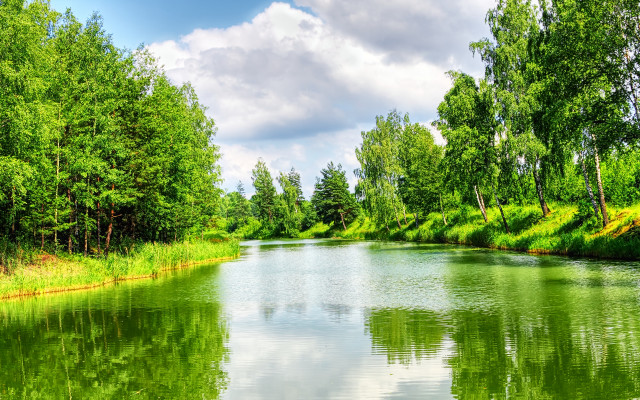 River trees grass sky clouds free wallpaper - medium preview image