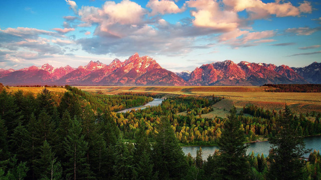 Lush green forest river mountains free wallpaper - medium preview image