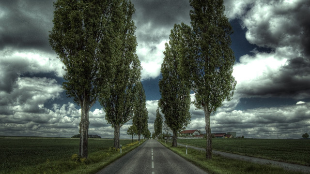Road trees barn cloudy sky free wallpaper - medium preview image