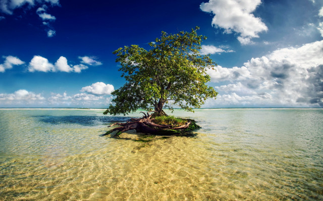 Island tree ocean sky clouds free wallpaper - medium preview image
