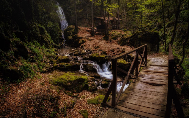 Wooden bridge waterfall forest mossy free wallpaper - medium preview image