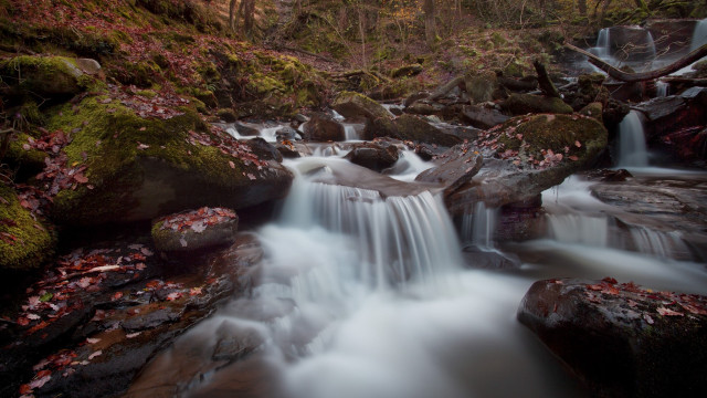 Small waterfall forest rocks leaves free wallpaper - medium preview image