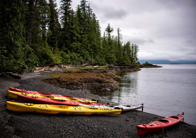 Canoes shore lake forest water free wallpaper for desktop - medium preview image