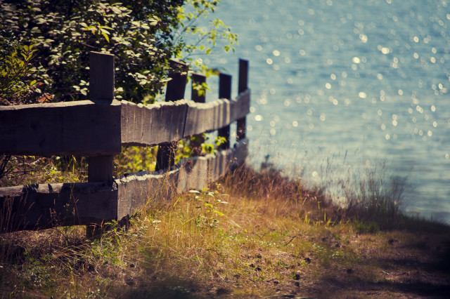 Wooden fence water trees grass free wallpaper - medium preview image