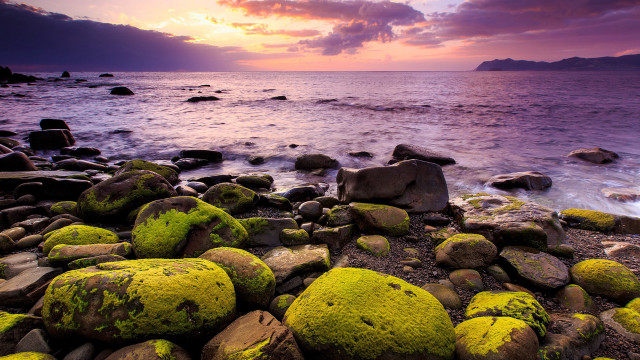 Rocky beach mossy rocks sunset free wallpaper - medium preview image