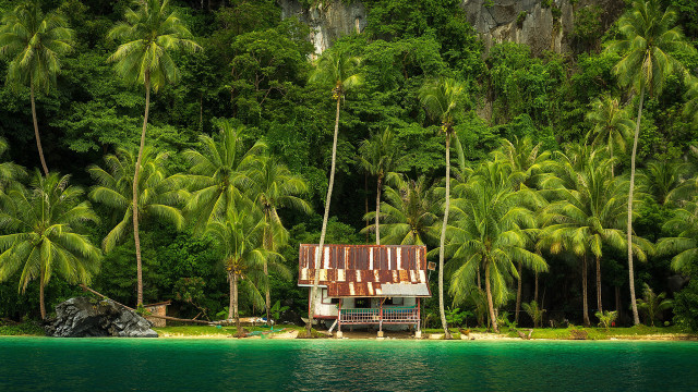 Tropical island house palm trees free wallpaper - medium preview image