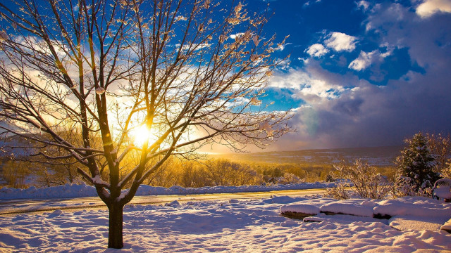 Snowy tree sunshine clouds road free wallpaper - medium preview image