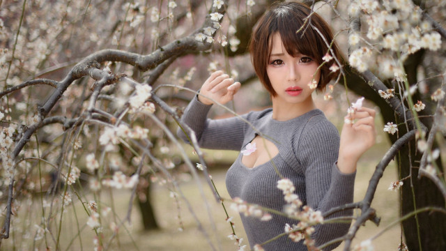 Woman tree flower sweater brown free wallpaper - medium preview image