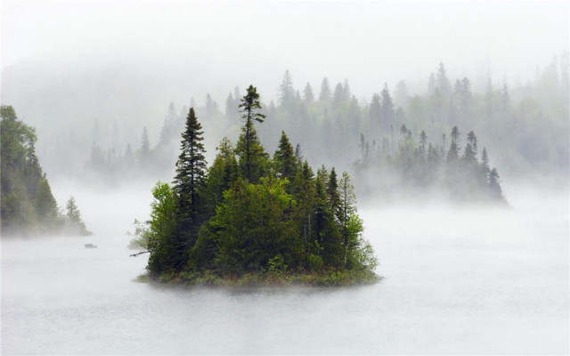 Small island lake foggy forest free wallpaper - medium preview image