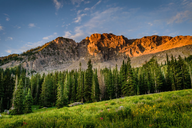 Mountain forest sky clouds nature #2 free wallpaper - medium preview image