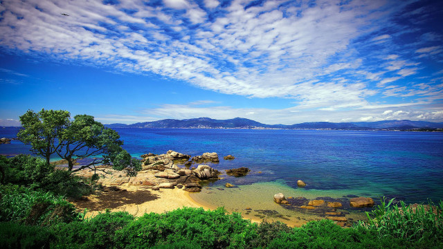 Beach tree water cloud mountain free wallpaper - medium preview image
