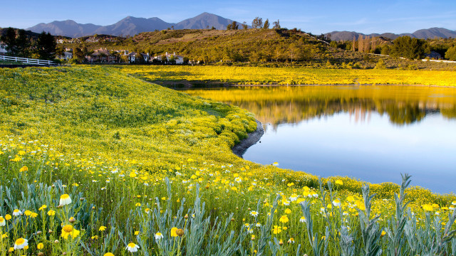 Flower field lake mountains fence free wallpaper - medium preview image