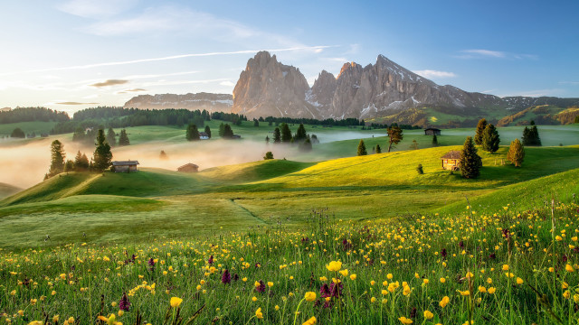 Green field yellow flowers house #2 free wallpaper - medium preview image