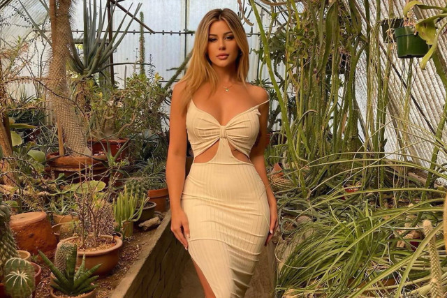 Greenhouse woman dress plants cacti free wallpaper - medium preview image