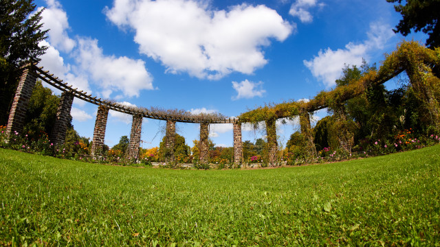 Stone arch field trees clouds free wallpaper - medium preview image