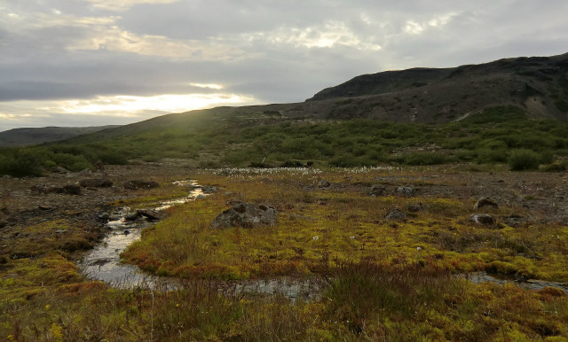 Grassy stream mountain clouds ecological free wallpaper - medium preview image