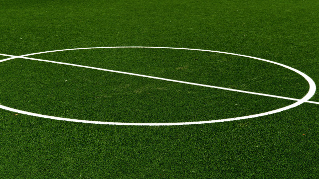 White circle green field wireframe free wallpaper - medium preview image