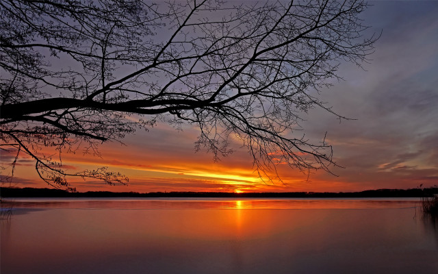 Sunset lake tree branch clouds #2 free wallpaper - medium preview image