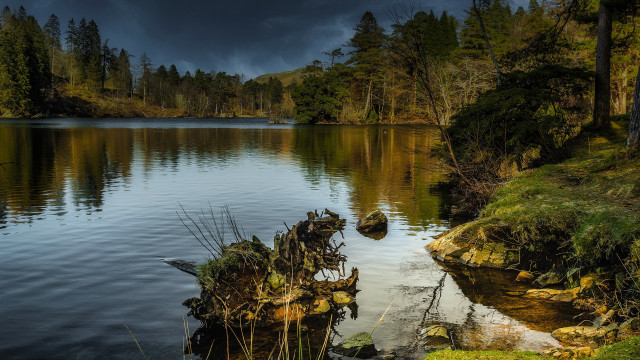 Lake forest reflection cloudy sky free wallpaper - medium preview image