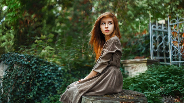 Woman tree stump park fence free wallpaper - medium preview image