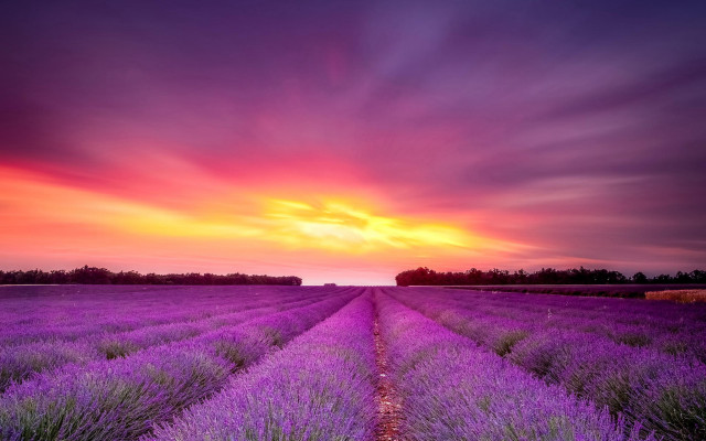 Lavender sunset clouds purple hue free wallpaper - medium preview image