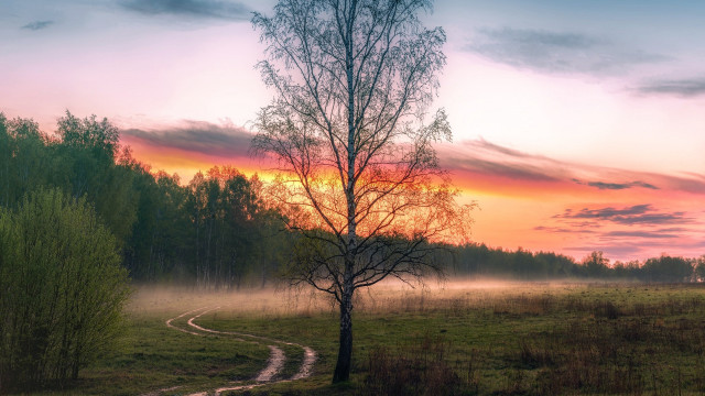 Sunset tree path lake mountains free wallpaper - medium preview image