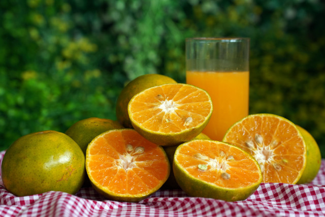 Orange juice oranges grapefruit checkered free wallpaper - medium preview image