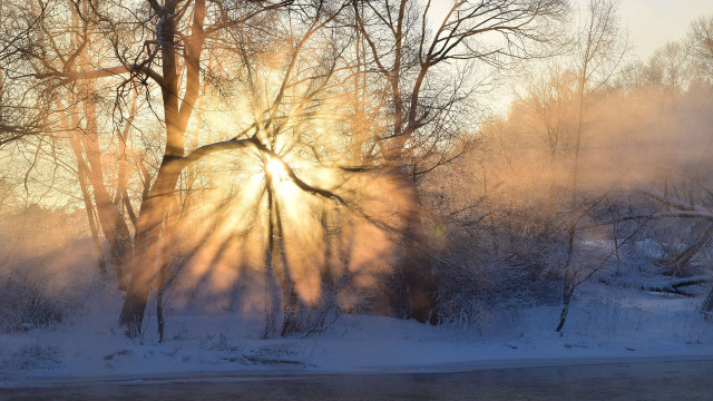 Sunbeam trees snow river winter free wallpaper - medium preview image