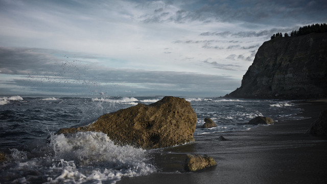Large rock beach ocean birds free wallpaper - medium preview image