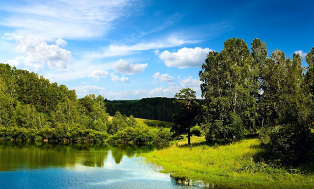 Lake forest hill blue sky free wallpaper for desktop - medium preview image