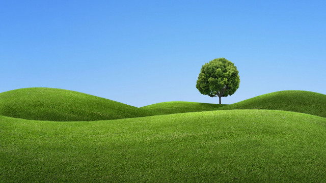 Lone tree grassy field blue #4 free wallpaper - medium preview image