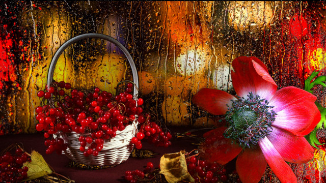 Basket berries flower autumn red free wallpaper - medium preview image