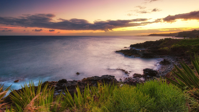 Sunset rocky beach cliff trees free wallpaper - medium preview image